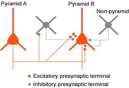 Fig.2