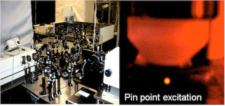 Mutiphoton excitation microscopy