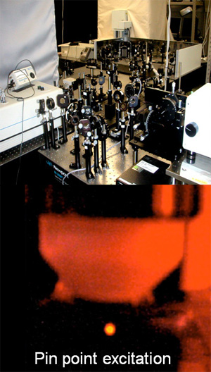 Mutiphoton excitation microscopy