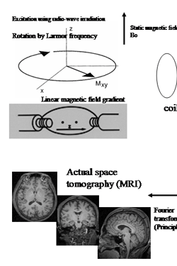 1_3a.gif