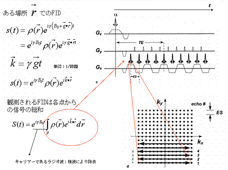 2_6.gif