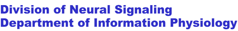 Division of Neural Signaling  Department of Information Physiology 