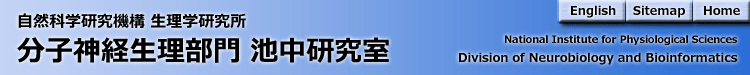 自然科学研究機構 生理学研究所 分子神経生理 池中研究室