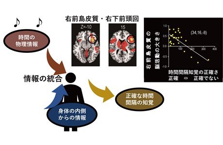 研究報告図_日本語_0216.jpg