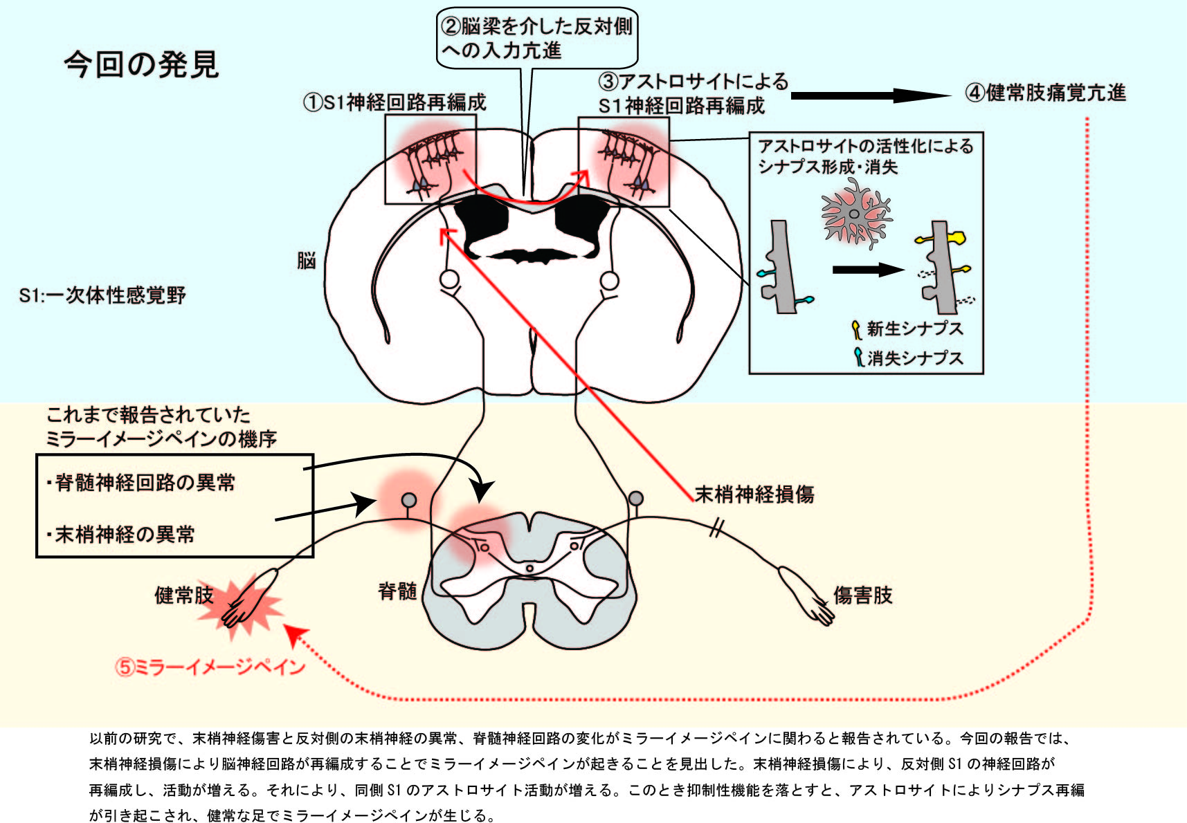 Nips Research