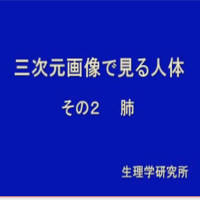 3次元画像で見る人体