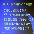 せいりけん市民講座 第16回【脳と口の不思議な関係】パート１