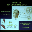 せいりけん市民講座 第16回【脳と口の不思議な関係】パート２
