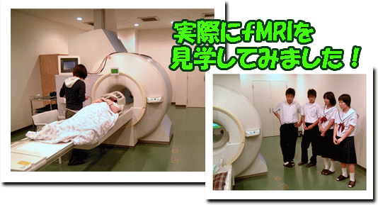 fmri-kengaku.gif