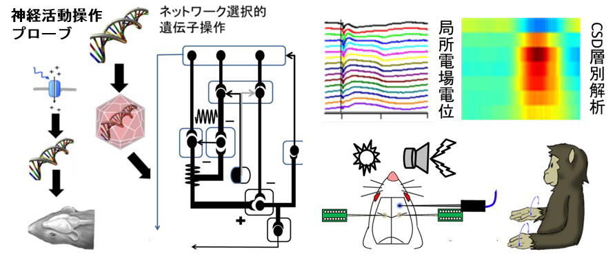 overview_c01.jpg