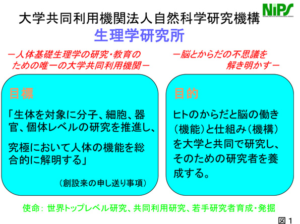 大学共同利用機関法人自然科学研究機構