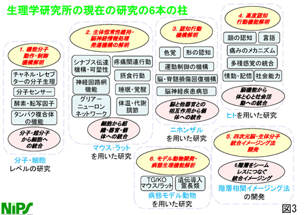 生理学研究所の現在の研究の６本柱