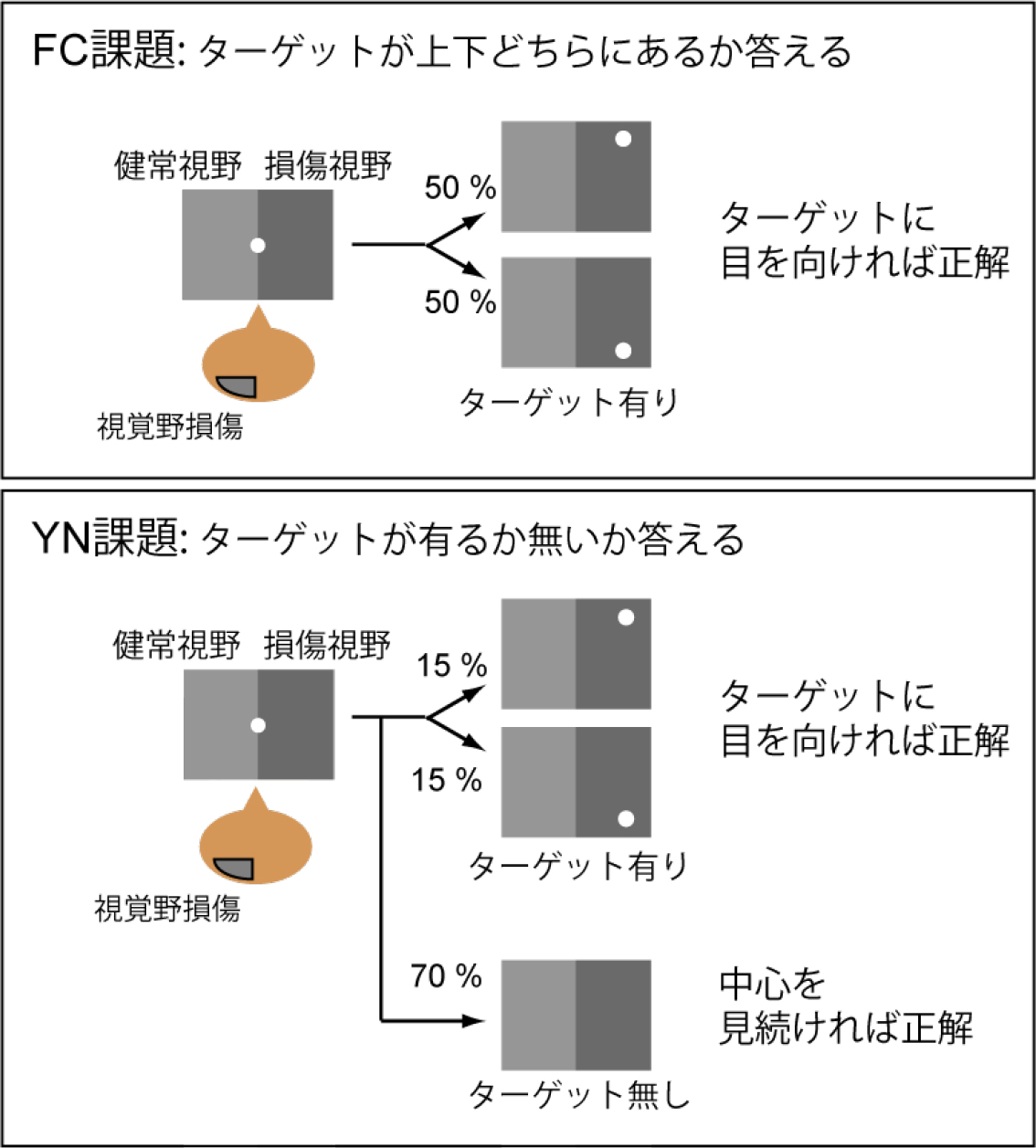 20150616press_yoshida2.jpg