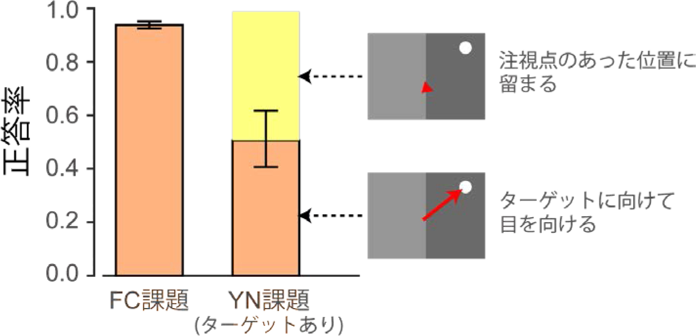 20150616press_yoshida3.jpg