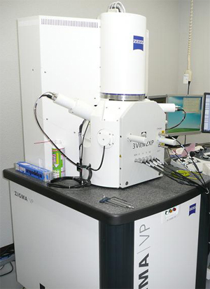 連続ブロック表面走査型電子顕微鏡（SBF-SEM）