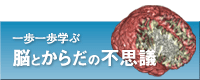 一歩一歩学ぶ脳とからだの不思議