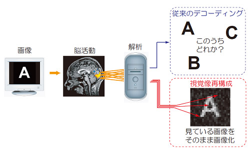 図3: 従来型のデコーディングと視覚像再構成の違い