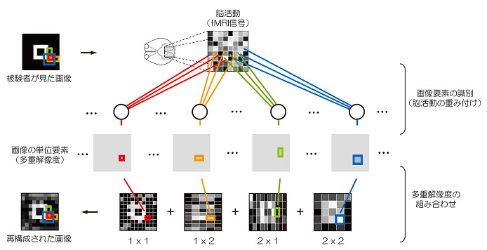 図4：視覚像再構成の手法