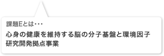 課題Eとは・・・「社会的行動を支える脳基盤の計測・支援技術の開発」