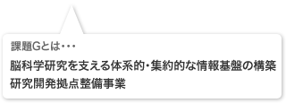 課題Gとは・・・「社会的行動を支える脳基盤の計測・支援技術の開発」