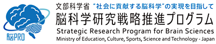 文部科学省　脳科学研究戦略推進プログラム　（脳プロ）