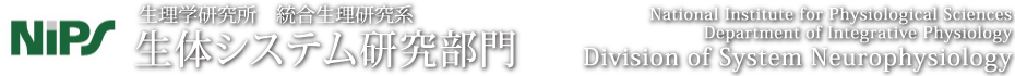 生理学研究所　総合生理研究系　生体システム研究部門