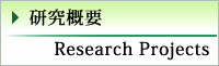 研究概要 Research Projects