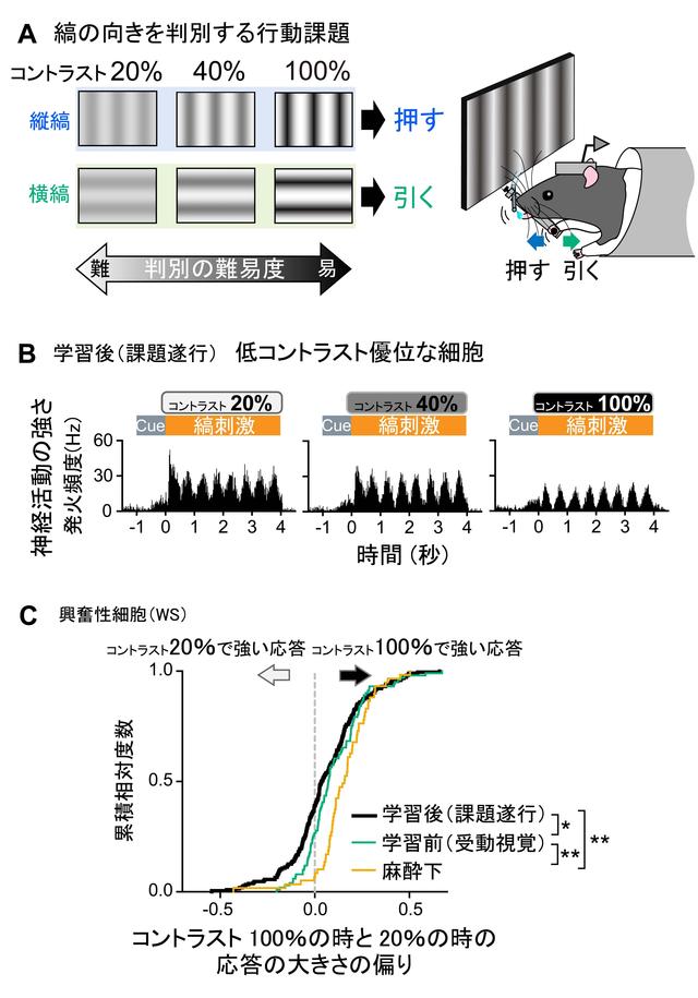 fig2.jpg