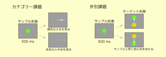 20061225_1.gifのサムネール画像