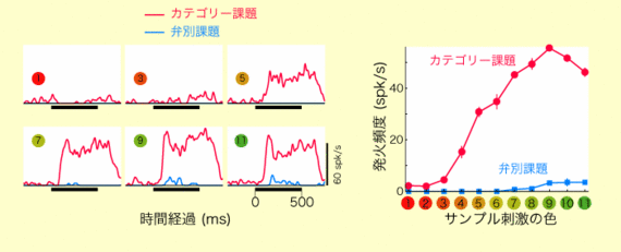 20061225_2.gifのサムネール画像