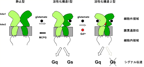 20060216_1.gif