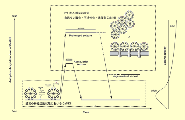 20060712_1.gif