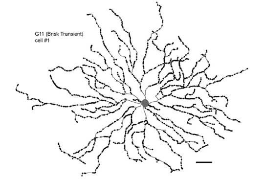20080716_1.jpg