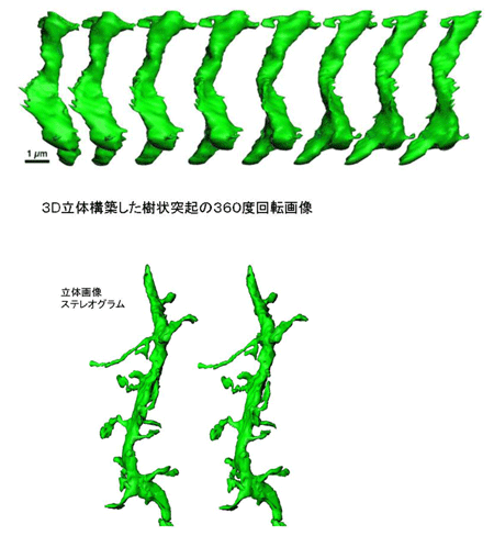 kubota-zu2.gif