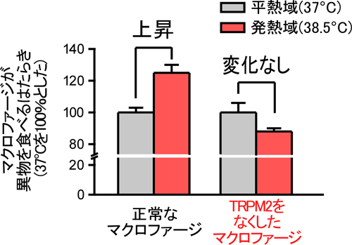 tominaga-meneki2-2.jpg
