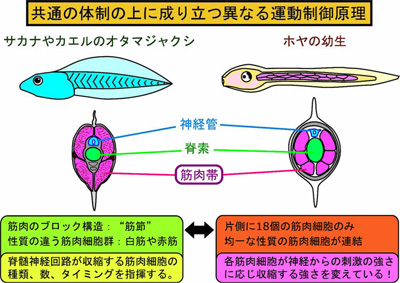 NIPS_Research