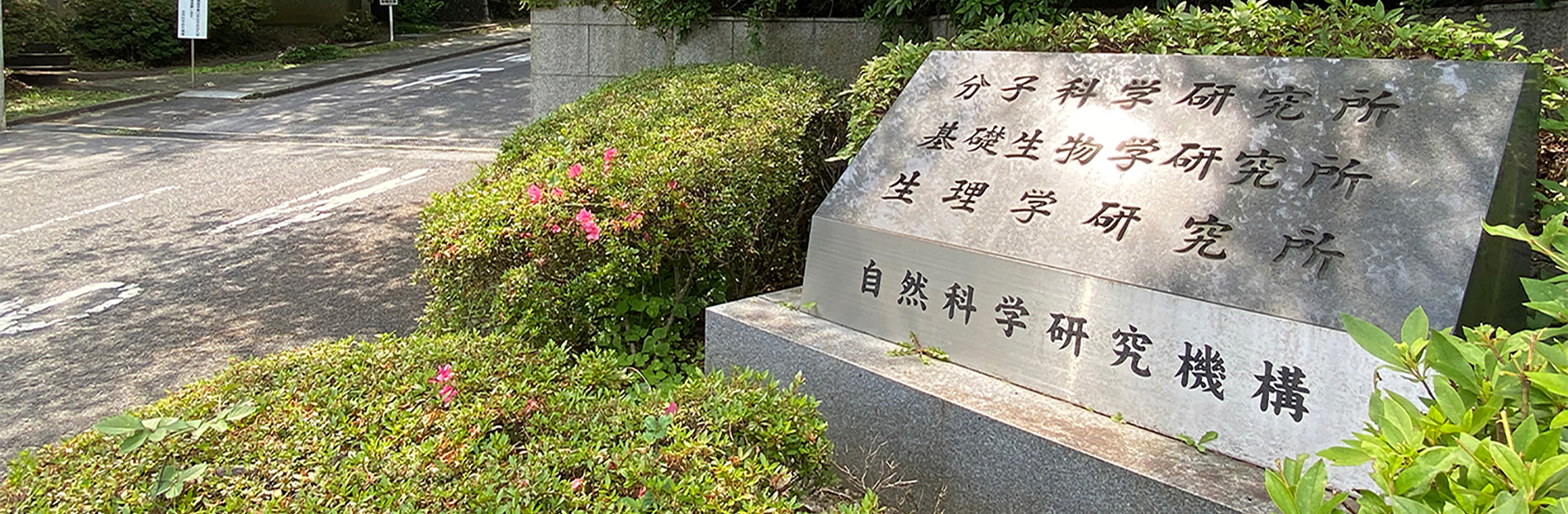 委員会画像