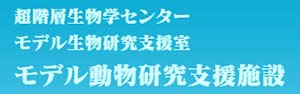 バナー画像