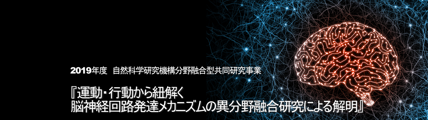 運動・行動から紐解く脳神経回路発達メカニズムの