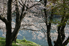 200904_01.jpg