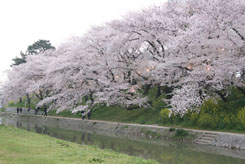 100405_1.jpg