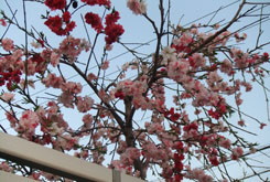 110405_2.jpg