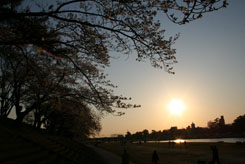 110405_4.jpg