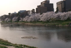 120409_1.jpg