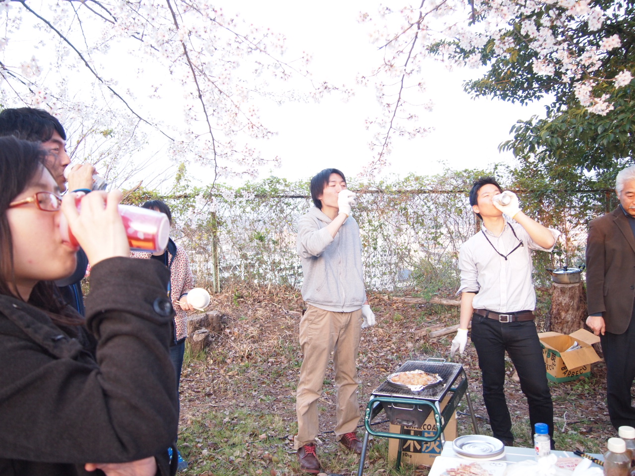 花見３.jpg