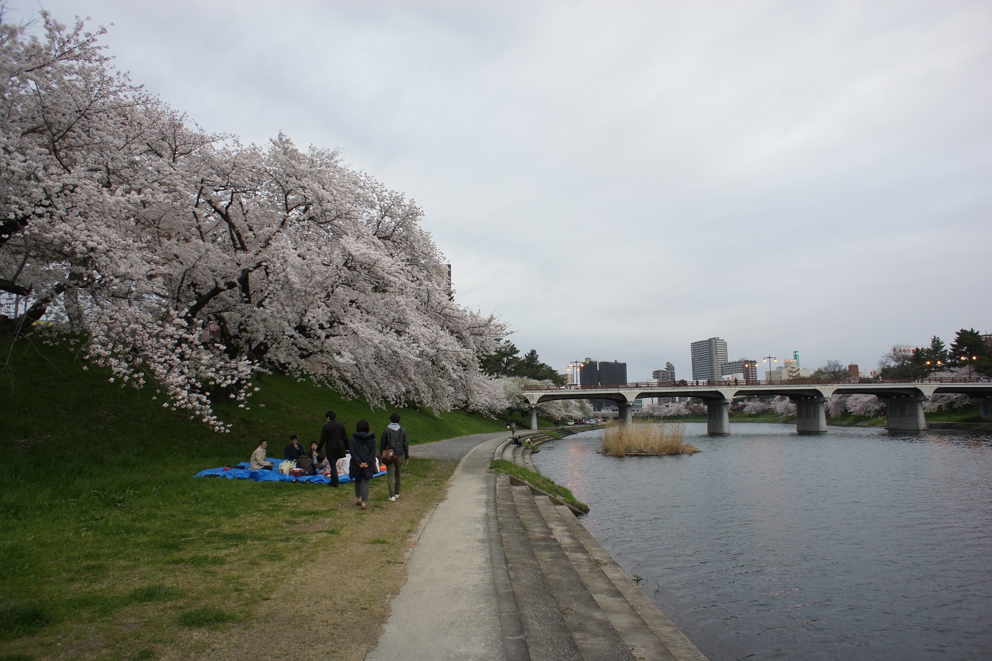 150402-1.JPG