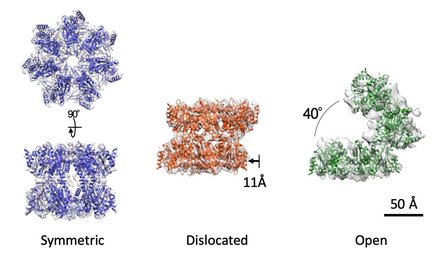 Fig01.jpg