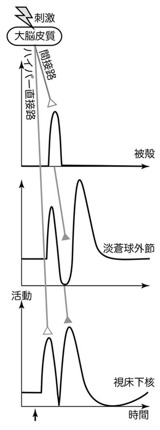 画像1.jpg