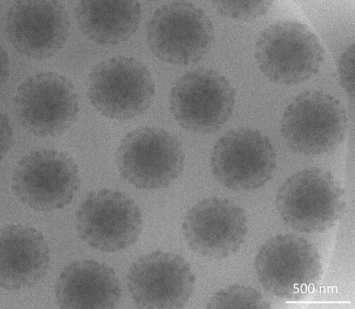 2-image-Kobayashi_et_al.jpg