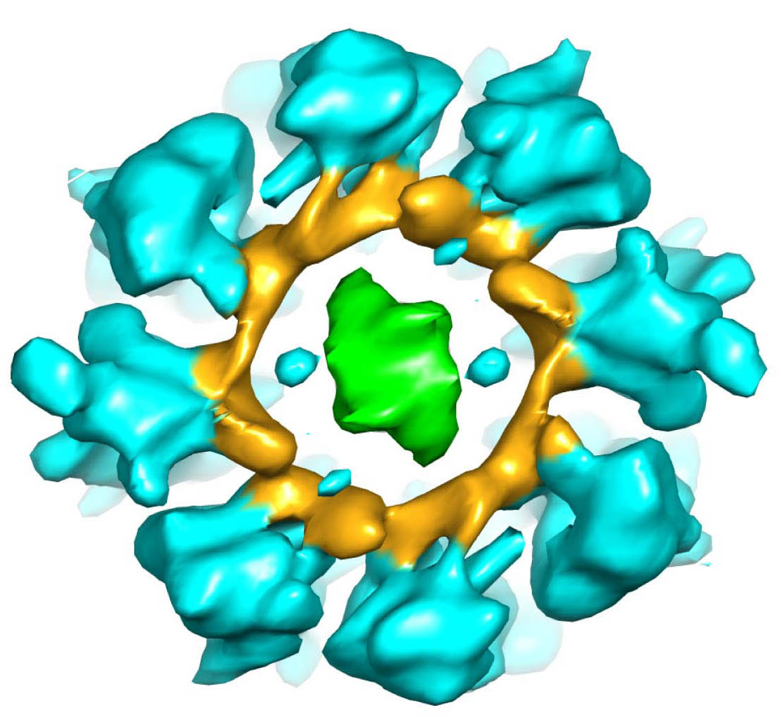 2-image-oshima_et_al.jpg